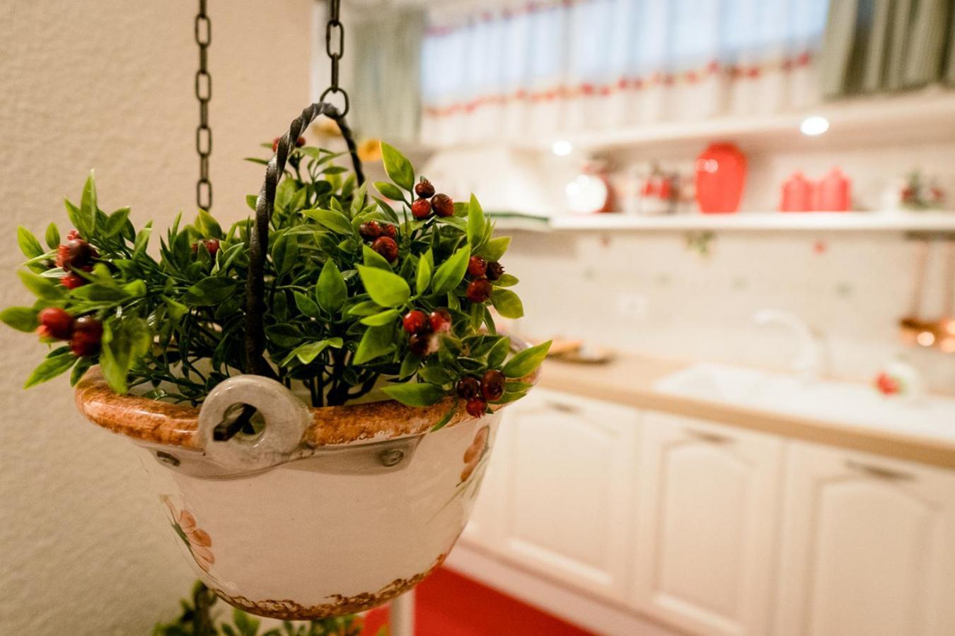 Appartamento Il Papavero Rosso Grosseto Exterior photo